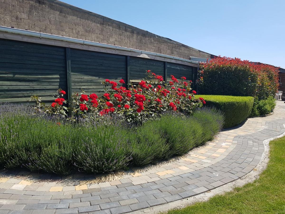 Appartamento De Achtertuin Maasmechelen Esterno foto